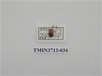 藏品(金龜子科)的圖片